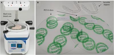 Mechanical Behavior of PET-G Tooth Aligners Under Cyclic Loading